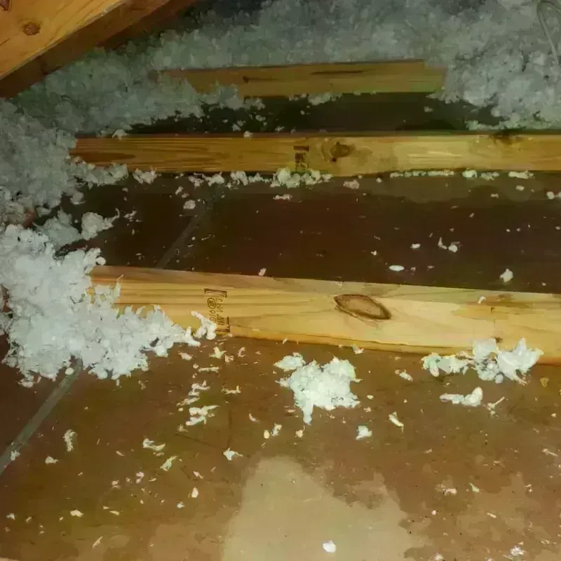 Attic Water Damage in Chowchilla, CA